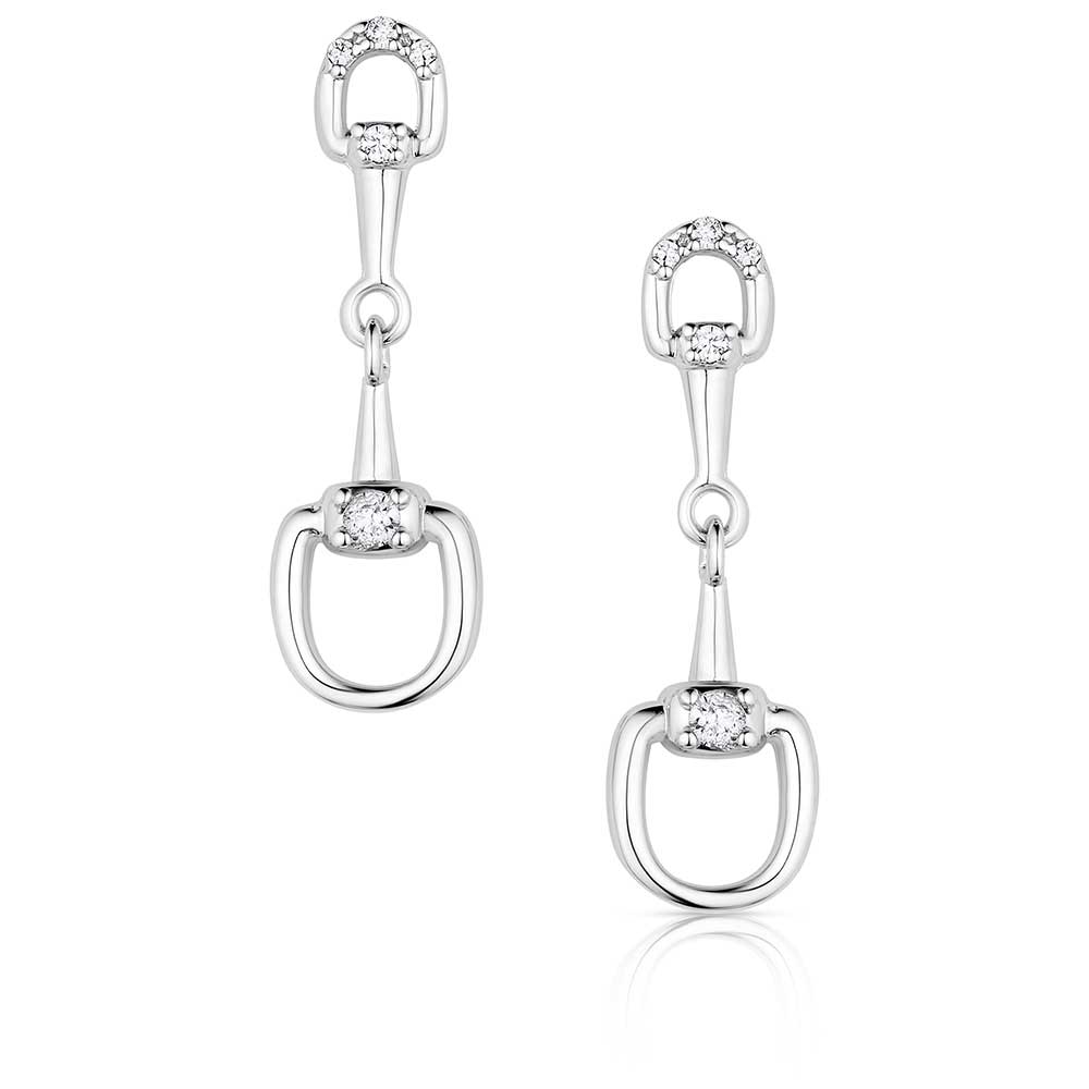 Enjoy the Ride Earrings